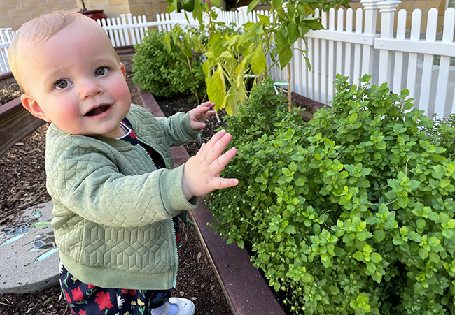 Young child in garden